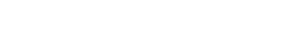 Van Dyk Recycling Solutions